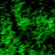 an abstract background