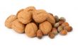 walnuts and hazelnuts against white