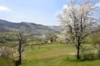 spring rural landscape