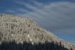 New snow on forested mountainside