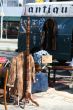 Fur coats and antique dealer`s van