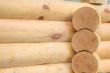 Logs butt element of wooden house