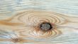 Knot on textured wooden plank