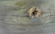 Knot on textured wooden plank