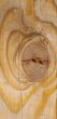 Knot on textured wooden plank