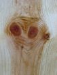 Knots on textured wooden plank like alien face