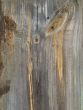Knots on textured wooden plank like alien face