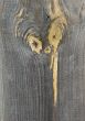 Knots on textured wooden plank like alien face