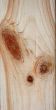 Knots on textured wooden plank like alien face