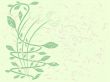 Curve plant