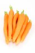 Fresh carrots