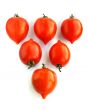 Tomatoes.