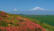   Wiev of Mountain Ararat.