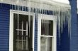 Winter icicles