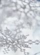 Winter background