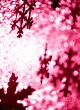 Winter background