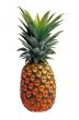 Isolated pineapple