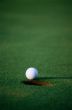 Golf field
