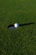Golf field