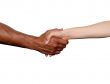 business handshake