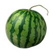 isolated watermelon