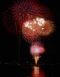 Beautiful firework