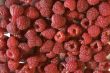 Raspberry