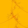 an abstract background