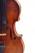 Violine isolated
