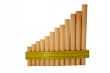 Panpipe isolated
