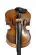 Old Violine