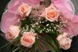 Roses.
