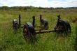 Old wheels of trailer on the meadow