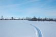 Narrow winter path in field