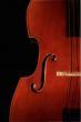 Contrabass