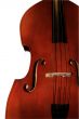 Contrabass