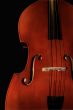 Contrabass