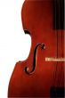 Contrabass