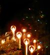 Soft Focus Christmas Reflections