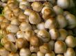 mushroom heads