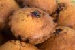 Tasty cherry cakes