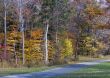 Autumn Road