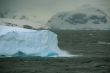 Iceberg glowing in an overcast dawn