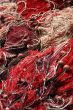 Fishing nets drying in port