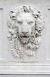lion head