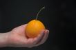 Holding an Orange