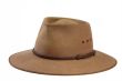 Brown Hat