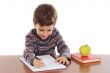 adorable boy studying