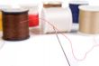 Needle and Thread
