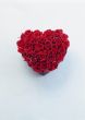 valentine`s heart in roses